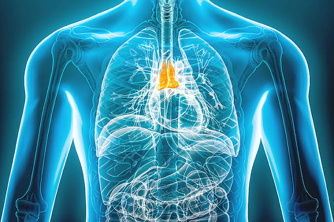 Mediastinal Tümör Tedavisinde VATS (Kapalı Göğüs Cerrahisi) Yöntemi